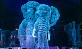 Tier-Hologramme im Zirkus: Manege frei für falsche Elefanten